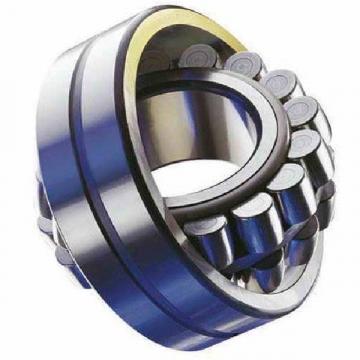  SL014838    INA Bearing 2018 latest update